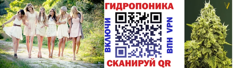 Виды наркотиков купить Зеленодольск Кокаин МАРИХУАНА Псилоцибиновые грибы ГАШ МЕФ