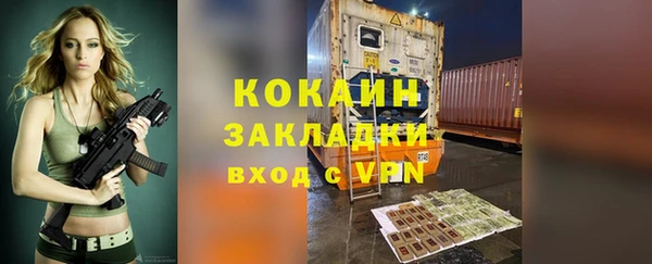 стаф Заводоуковск