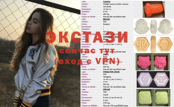 стаф Заводоуковск