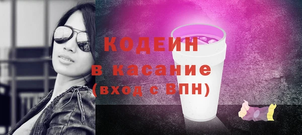 стаф Заводоуковск