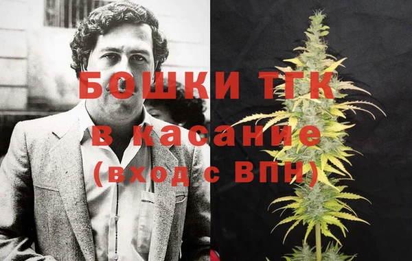 стаф Заводоуковск