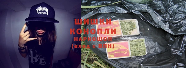 стаф Заводоуковск