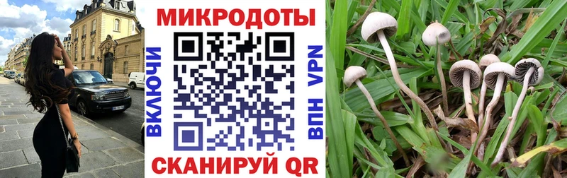 Галлюциногенные грибы мухоморы Зеленодольск